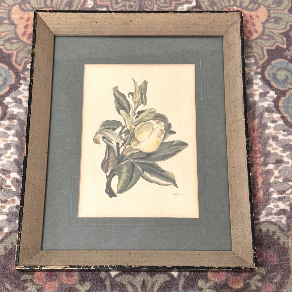 2 Vintage 1950s Framed Camellia &  agnes harrison Lithographs 11.25